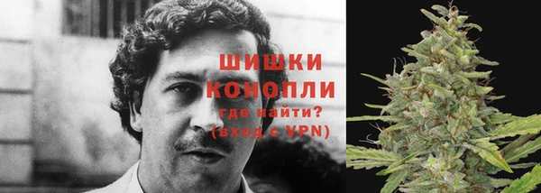 гашик Алзамай