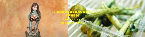 гашик Алзамай